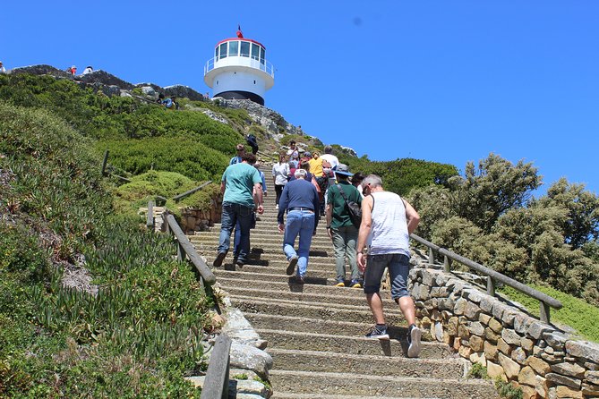 Private Day Tour to Cape of Good Hope Penguins Inc Entry Tickets from Cape Town - Hout Bay and the choice between fish and seals