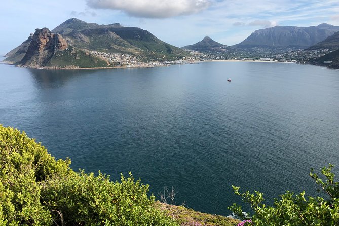 Private Day Tour to Cape Point , Penguins, Wine or Beer Tasting - Penguins and lunch near Seaforth Beach
