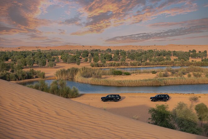 Private Falconry Experience and Nature Desert Safari in Dubai - Searching for oryx, gazelles, and desert birds