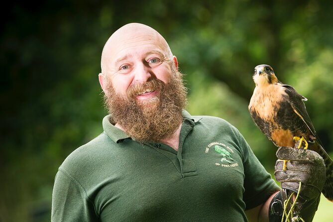 Private Family Bird of Prey Experience in Carlisle - Meeting Carlisle’s Birds of Prey