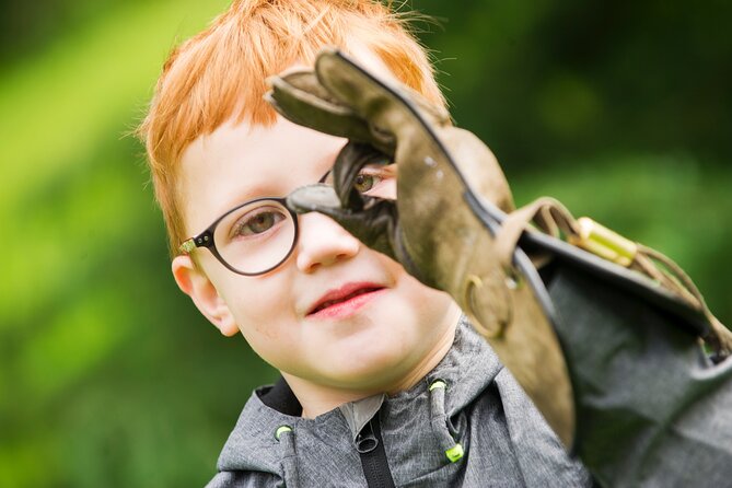 Private Family Bird of Prey Experience in Carlisle - The Birds: Owls, Hawks, Eagles, and More