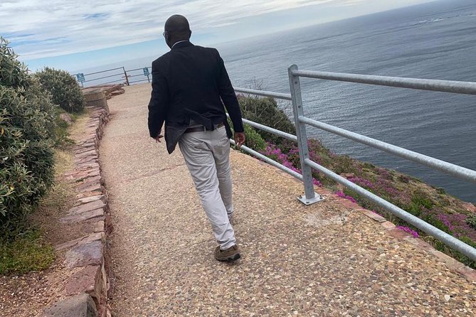 Private Full Day Tour To Cape Point, Penguins With Table Mountain. - What the private format changes
