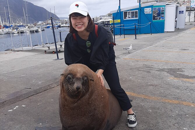 Private Guided Tour to Cape of Good Hope and Penguins Colony - Noordhoek Farm Village provides a useful pause