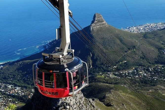 Private Guided Tour to Table Mountain and Cape Point with Penguin - Key Points at a Glance