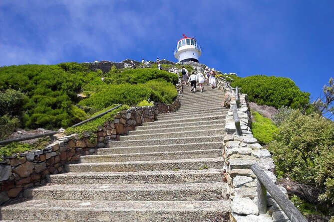 Private Guided Tour to Table Mountain and Cape Point with Penguin - Atlantic Views at Maiden’s Cove