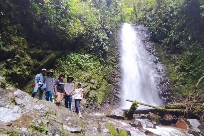 PRIVATE Mindo Cloud Forest tour - Choosing between zip lines, chocolate, and waterfalls