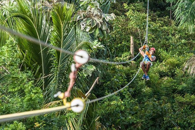 PRIVATE Mindo Cloud Forest tour - A quick look at the Equator monuments