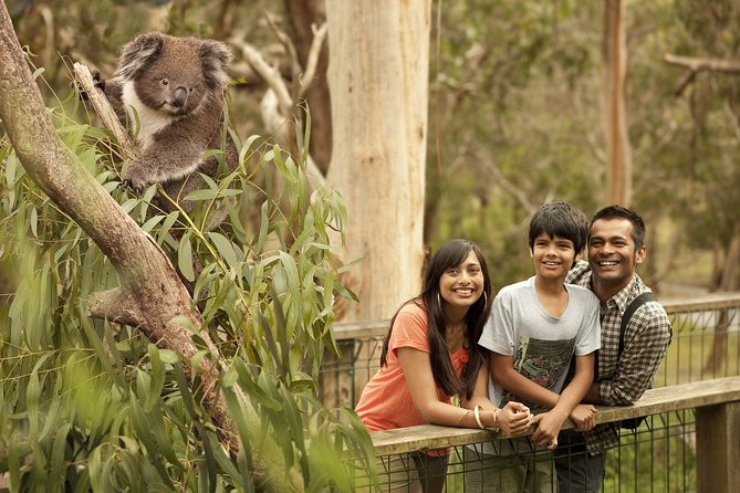 Private Phillip Island Penguin Parade Tour - Why Phillip Island works as a full-day outing