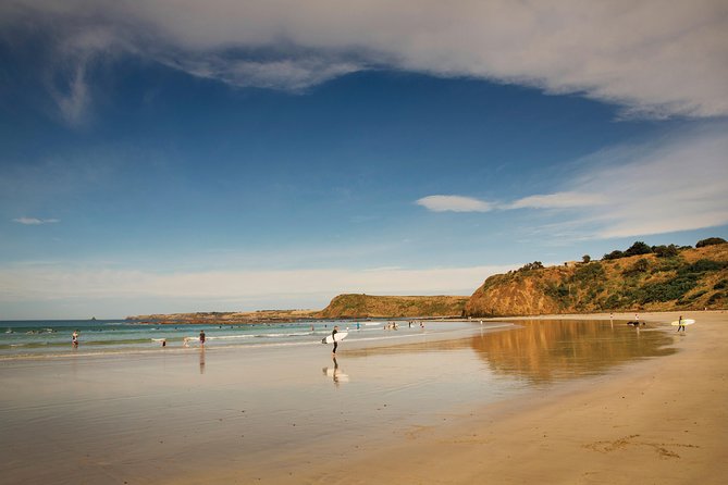 Private Phillip Island Penguin Parade Tour - Who gets the best value from this tour