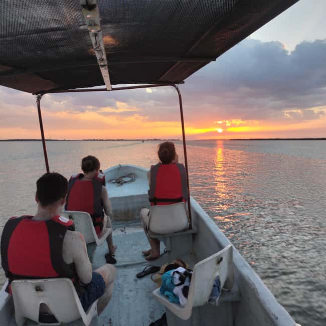 Private Ría Lagartos Boat Tour: Flamingos & Crocodiles - Key points at a glance