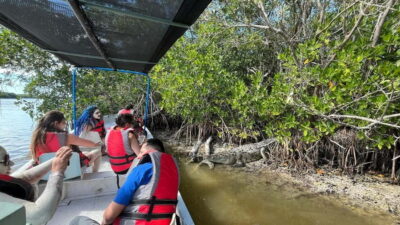 Private Ría Lagartos Boat Tour: Flamingos & Crocodiles