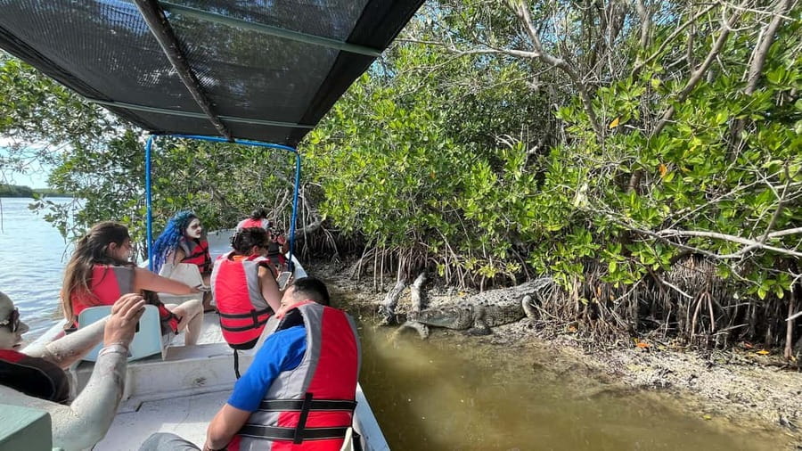 Private Ría Lagartos Boat Tour: Flamingos & Crocodiles - Meeting Martín’s team at the malecón
