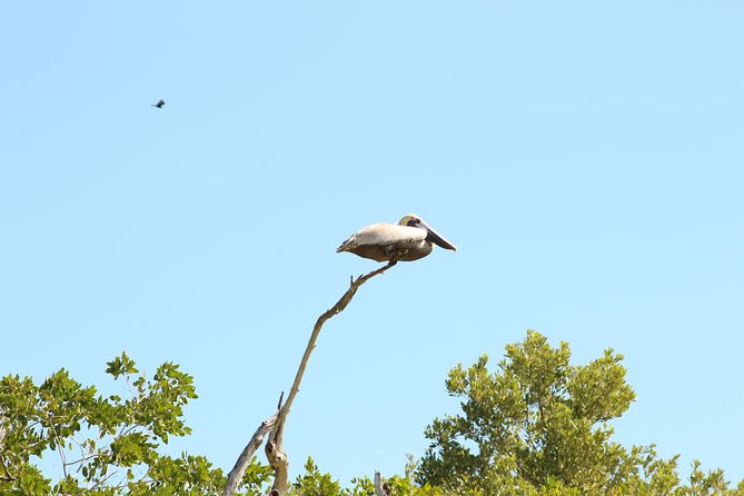 Private Rio Lagartos Flamingo and pink lakes - What to pack for this nature outing
