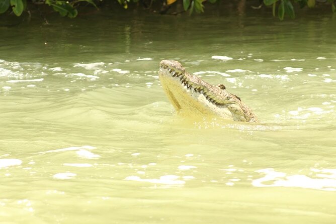 Private Rio Lagartos Flamingo and pink lakes - Weather, timing, and the limits of nature