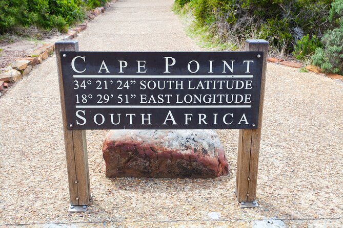 Private Table Mountain Penguins & Cape Point Tour from Cape Town - One private day across the Cape Peninsula