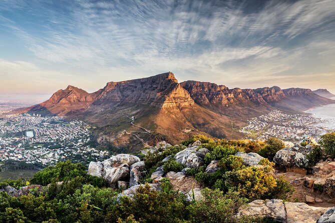 Private Table Mountain Penguins & Cape Point Tour from Cape Town - Boulders Beach and its African penguins