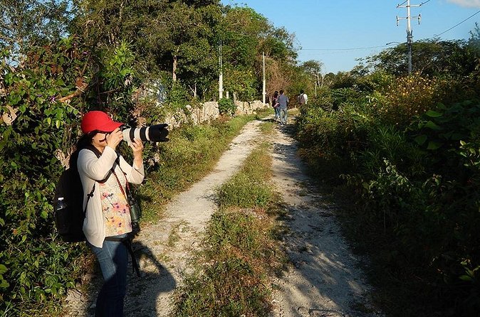 Private Tour: Birdwatching Cozumel Island - Who will enjoy this private Cozumel bird tour?