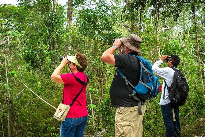 Private Tour: Birdwatching from Cancun - The first stop near Puerto Morelos