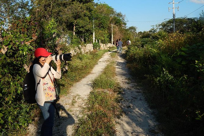Private Tour: Birdwatching from Cancun - Weather, binoculars, and useful preparation