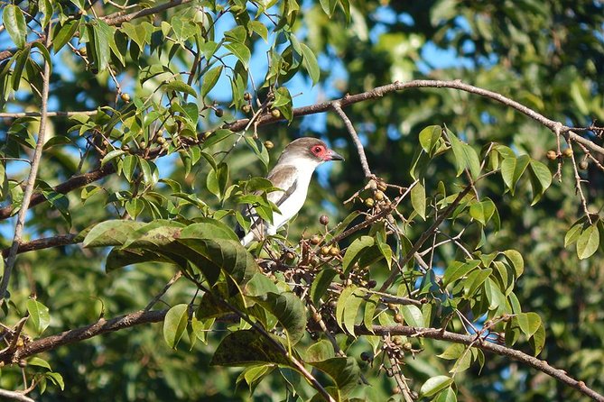 Private Tour: Birdwatching from Cancun - Is $525 a fair price?