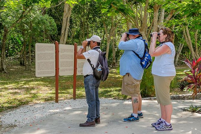 Private Tour: Birdwatching Playa del Carmen - Carlos changes the quality of the walk