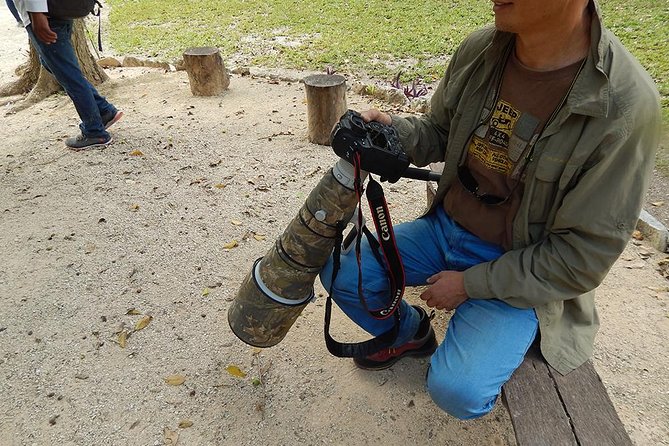 Private Tour: Birdwatching Playa del Carmen - Pickup from three resort areas