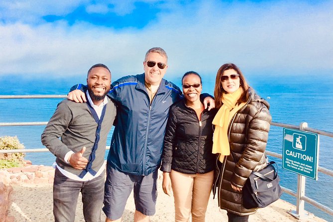 Private Tour: Boulders Beach Penguin Colony and Cape of Good Hope - Cape Point brings wildlife and wide-open views