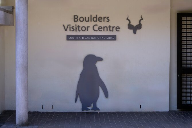 Private Tour: Cape of Good Hope and Boulders Beach Penguin Tour - Boulders Beach and the African penguins