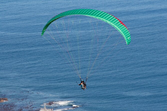 Private Tour: Cape of Good Hope and Boulders Beach Penguin Tour - Cape of Good Hope Nature Reserve and Cape Point