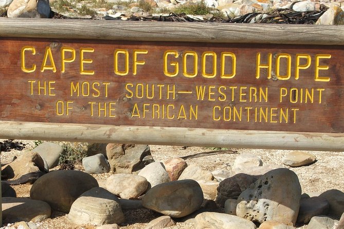 Private Tour: Cape of Good Hope Cape Point Penguins Kirstenbosch - Hout Bay and the optional Seal Island boat