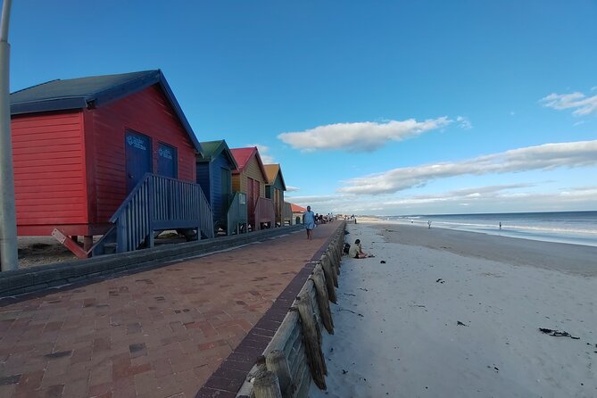 Private Tour : Cape of Good Hope,Penguin Colony& Muizenberg Beach - The ostrich farm adds a playful stop