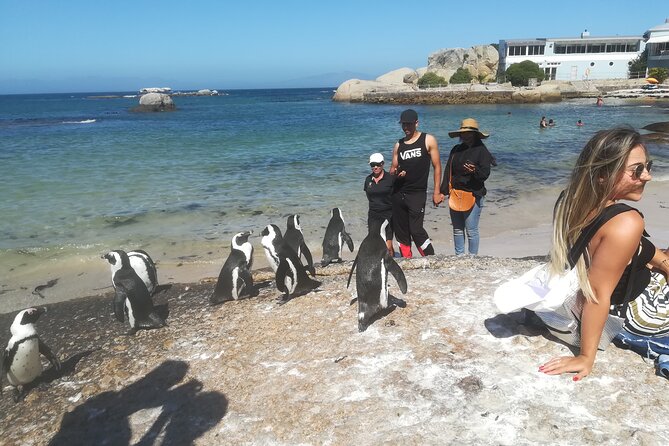 Private Tour : Cape of Good Hope,Penguin Colony& Muizenberg Beach - Cape of Good Hope brings the open coast