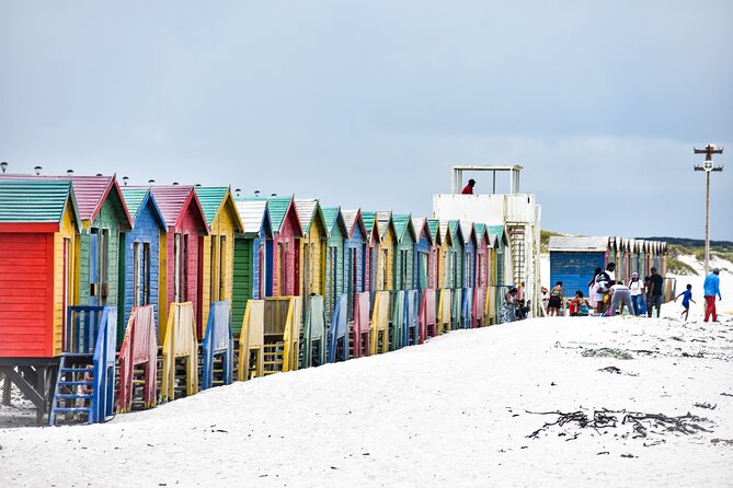 Private Tour Cape of Good Hope & Penguins Sightseeing Full day - Cape Point Nature Reserve and the southwestern tip