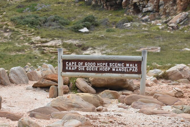 Private Tour Cape of Good Hope & Penguins Sightseeing Full day - What the private vehicle changes
