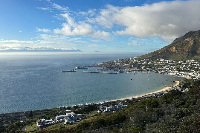 Private Tour Cape of Good Hope with Penguins - Why this private Cape Peninsula day works