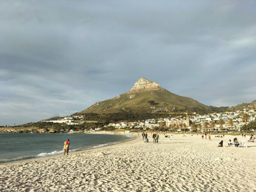 Private Tour:Cape Peninsula &Penguin Beach, Cape Point &more - Transport, timing, and pickup choices