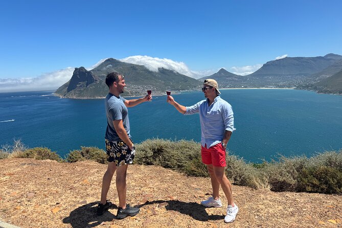 Private Tour:Cape Peninsula &Penguin Beach, Cape Point &more - A big Cape Peninsula day in a private car