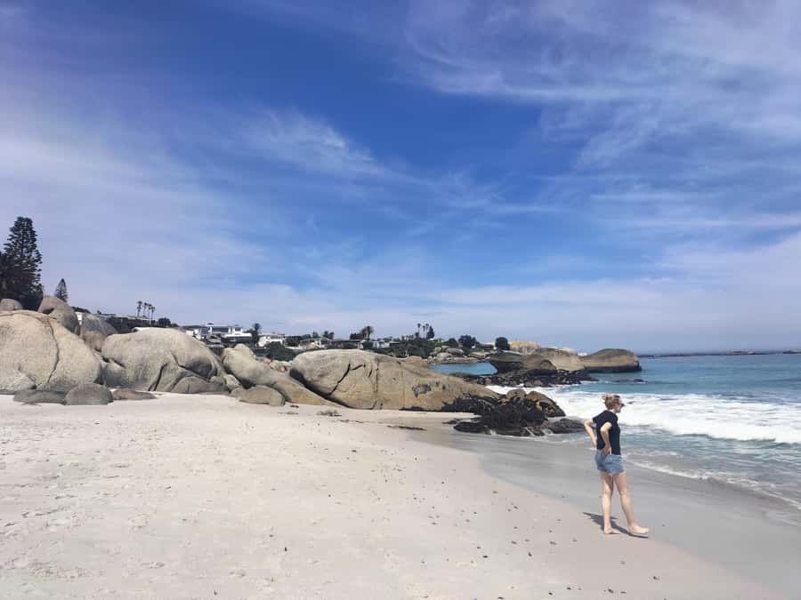 Private Tour:Cape Peninsula &Penguin Beach, Cape Point &more - Simon’s Town provides the lunch break