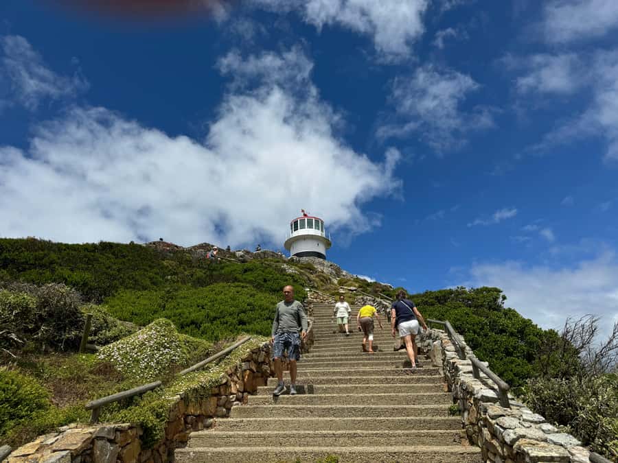 Private Tour: Cape Point, Penguins, Chapmans Peak & more... - Why this private Cape Town day makes sense