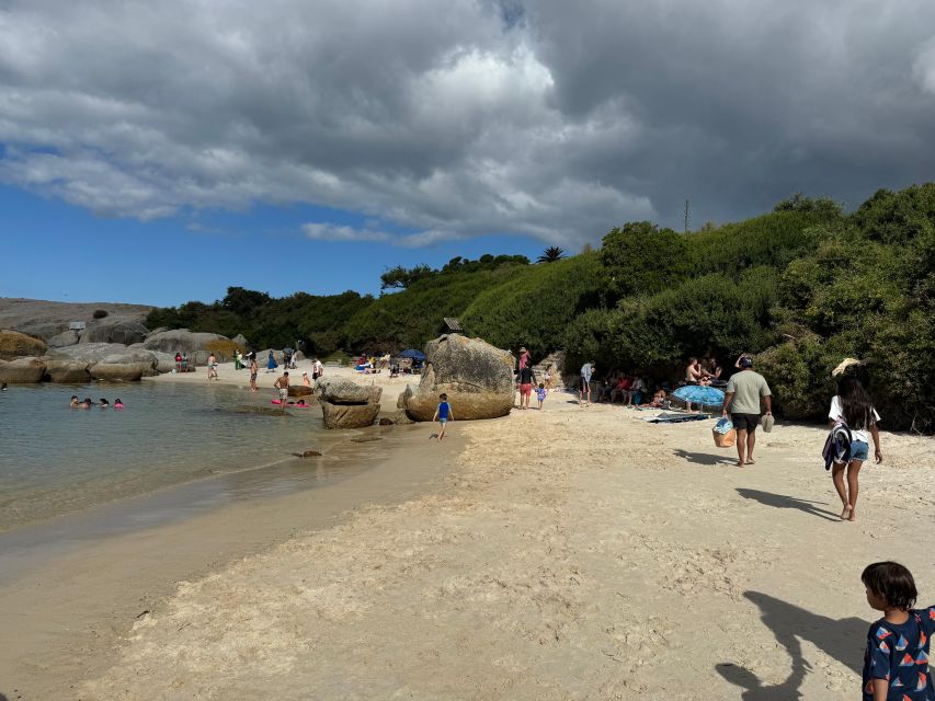 Private Tour: Cape Point, Penguins, Chapmans Peak & more... - Meeting the penguins at Boulders Beach
