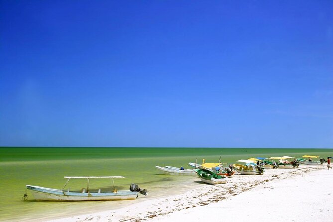Private Tour Celestun Flamingo Watching and Beach - Key points to know before booking