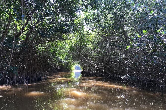 Private Tour Celestun Flamingo Watching and Beach - What the $433 price buys you