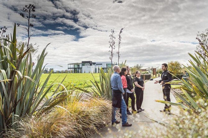 Private tour from Auckland - Waitomo Glowworm Caves, Zealong Tea & Kiwi Bird - Five useful things to know before booking