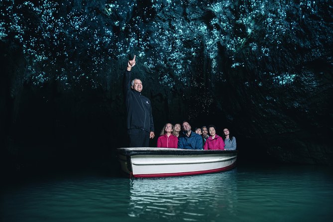 Private tour from Auckland - Waitomo Glowworm Caves, Zealong Tea & Kiwi Bird - Why this makes sense as a private Auckland day trip
