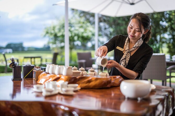 Private tour from Auckland - Waitomo Glowworm Caves, Zealong Tea & Kiwi Bird - What the private vehicle changes