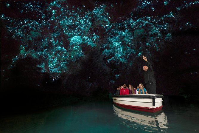 Private tour from Auckland - Waitomo Glowworm Caves, Zealong Tea & Kiwi Bird - Timing, weather, and cancellation details