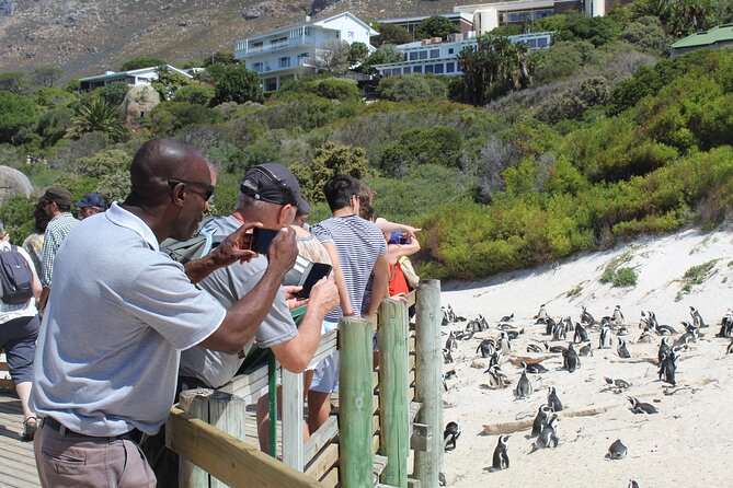 Private Tour from Cape Town To Cape of Good Hope Penguins Plus Wine Tasting F/D - The Cape of Good Hope and its wildlife