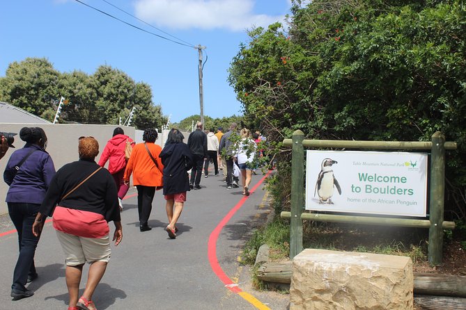 Private Tour from Cape Town To Cape of Good Hope Penguins Plus Wine Tasting F/D - Simons Town, naval history, and lunch