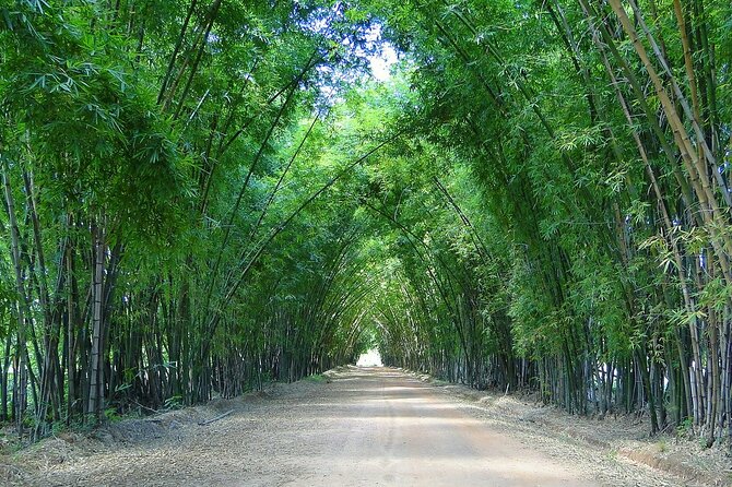 Private Tour from Negril to YS Falls and Pelican Bar - From Parottee Bay to Floyd’s Pelican Bar