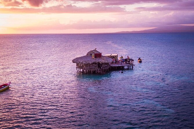 Private Tour from Negril to YS Falls and Pelican Bar - Who will enjoy this outing most